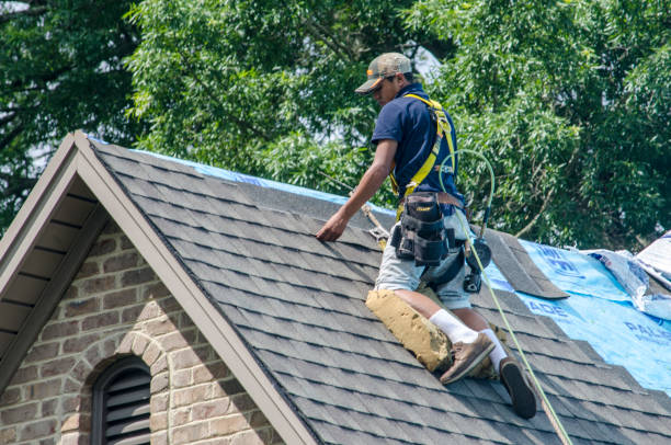 Professional Roofing Contractor in Brunswick, NC